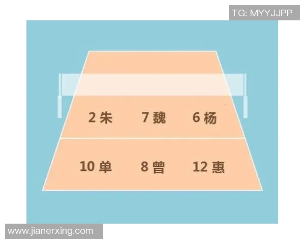 杭州排球队反击体系解析与战术创新探讨